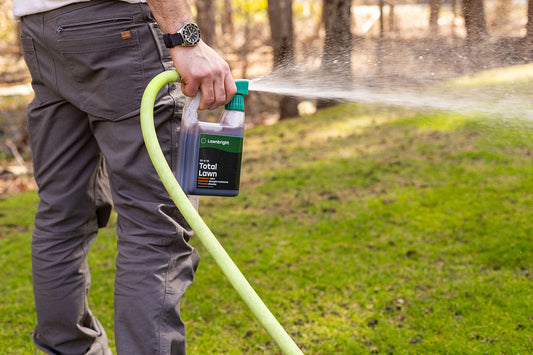 How to Spot and Treat Lawn Diseases in Humid Weather