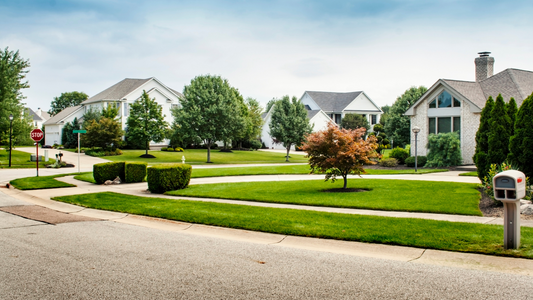 Summer Lawn Care Tips for Texas and Deep South Homeowners: How to Keep Your Lawn Healthy and Natural
