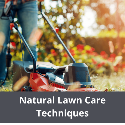 A person mowing a lawn with a red lawnmower, accompanied by the text Natural Lawn Care Techniques.