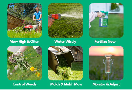 Lawn care collage showing mowing, watering, fertilizing, weeding, mulching, and monitoring strategies.