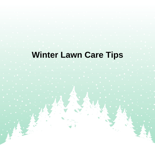 Winter Lawn Care Tips