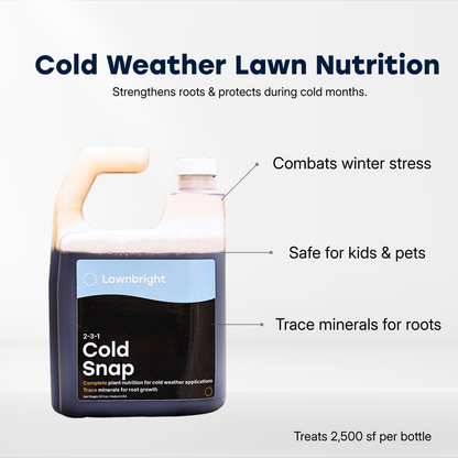 Cold Snap Winterizer