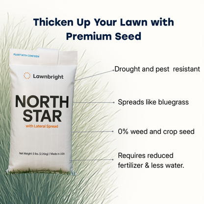 North Star Rhizomatous Tall Fescue (5lbs)
