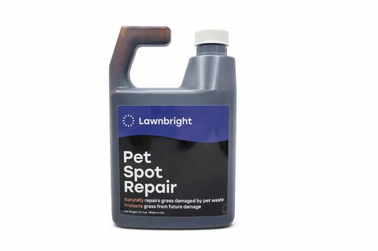 Pet Spot Repair