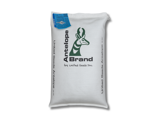Super Turf II Grass Seed