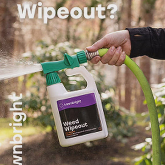 A video explaining what Weed Wipeout is.