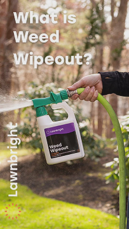 A video explaining what Weed Wipeout is.